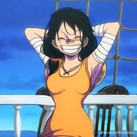 Autora(yo)