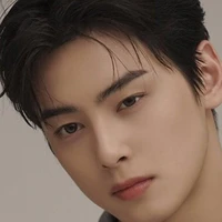 Cha Eunwoo ( alpha)