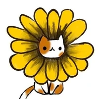 แอดเองจ้า