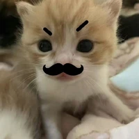 แอด