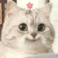 ไรท์.