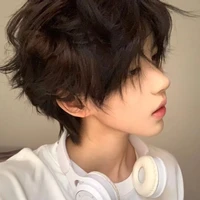 ชิน