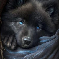 Fenris