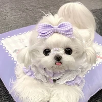 𝓒𝔂𝓷 (author rival) 😈