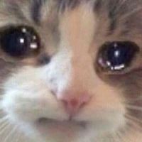 เเอดเองง(⁠●⁠´⁠⌓⁠`⁠●⁠)