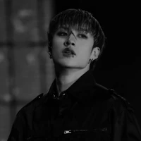 Bang Chan (alpha)