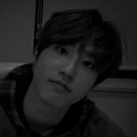 Han Jisung (omega)