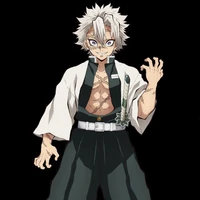 Shinazugawa sanemi