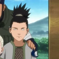 nara Shikamaru 