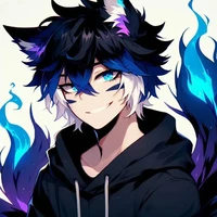 Star Fire Fox