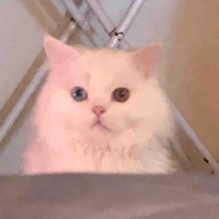 แอด😡😡😡😡