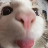 จะเลิกเล่นเกมดินน้ำมันแล้ว