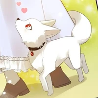 Apollo