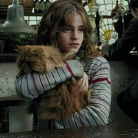 Hermione Malfoy