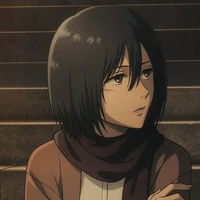 Mikasa