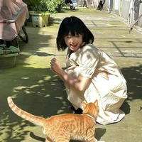 โมไม🐱
