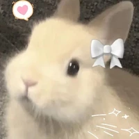 แอดเองค่า//🥹🫶