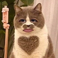 แอดเอง😘✨