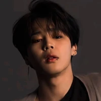 Kim jimin (Dominant Omega)
