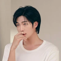 Kim Namjoon (elight alpha)