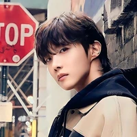 Hoseok wang (Dominant Omega)