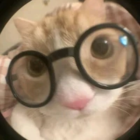 แอดเองค่า~~~