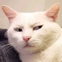 เเอดเองงับ
