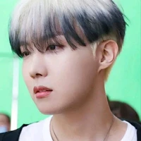 jung hoseok { alfa .p}