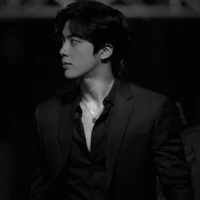 jin\kim seok jin