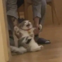 แอดเอง