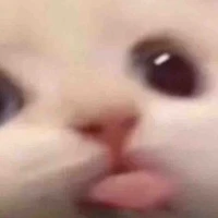 xx