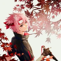 Sora