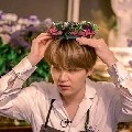 Sleeping Suga