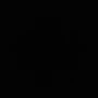 compañeros del salón