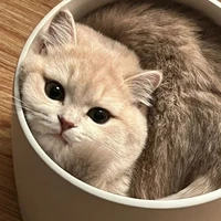 ซาลาเปา
