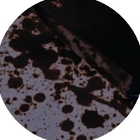 autora