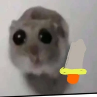 ฟีฟี่