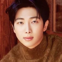 NamJoon • Alfa Dominante •