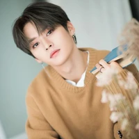 Lee know (Minho)