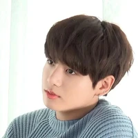 Jeon jungkook (human)