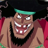 Barba.N