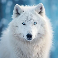 Loba (Lilith)