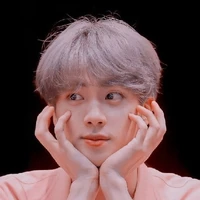 Kim Seokjin/jin