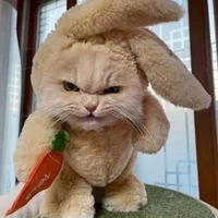 คานะ