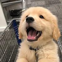 แอคเอง