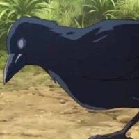 อีกาสื่อสาร