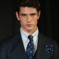 Louis partridge (ml