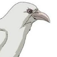 มูนิน || อีกาของโอดิน