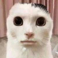 จ๋ะเอ๋