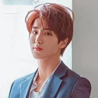 Han (Han Jisung)
